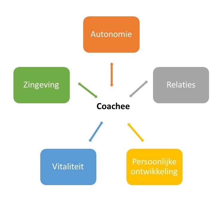5 pijlers van werkgeluk